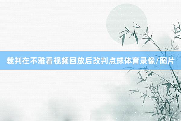 裁判在不雅看视频回放后改判点球体育录像/图片