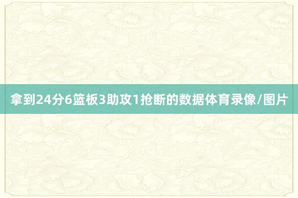 拿到24分6篮板3助攻1抢断的数据体育录像/图片