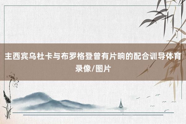 主西宾乌杜卡与布罗格登曾有片晌的配合训导体育录像/图片