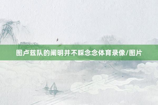 图卢兹队的阐明并不睬念念体育录像/图片