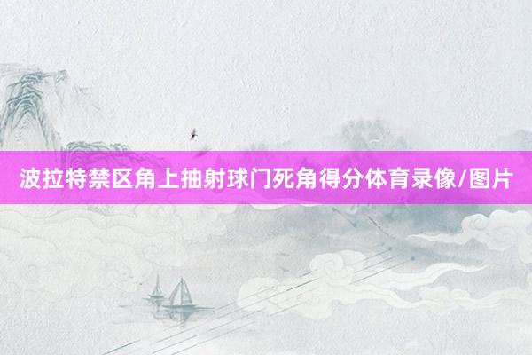 波拉特禁区角上抽射球门死角得分体育录像/图片