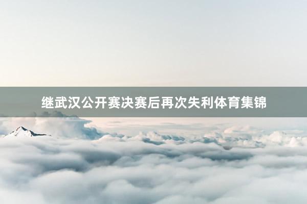 继武汉公开赛决赛后再次失利体育集锦
