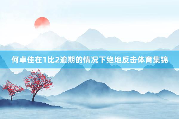 何卓佳在1比2逾期的情况下绝地反击体育集锦
