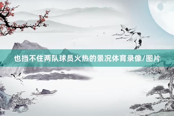 也挡不住两队球员火热的景况体育录像/图片