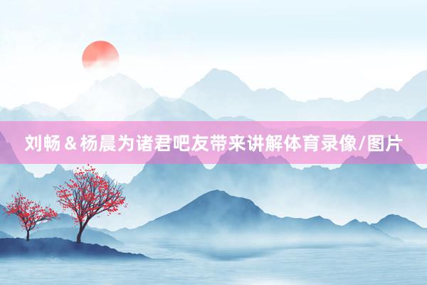 刘畅＆杨晨为诸君吧友带来讲解体育录像/图片