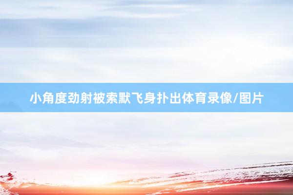 小角度劲射被索默飞身扑出体育录像/图片