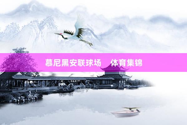 慕尼黑安联球场    体育集锦