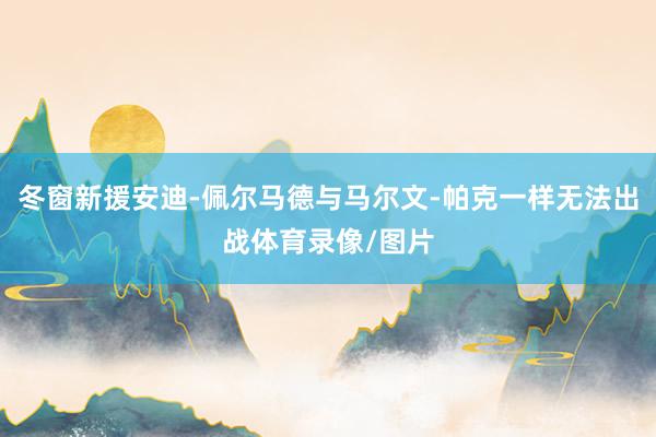 冬窗新援安迪-佩尔马德与马尔文-帕克一样无法出战体育录像/图片