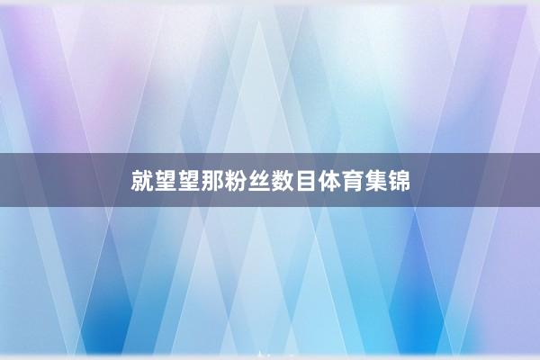 就望望那粉丝数目体育集锦