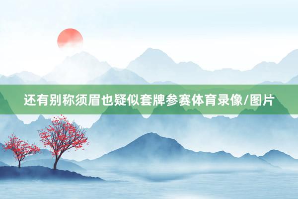 还有别称须眉也疑似套牌参赛体育录像/图片
