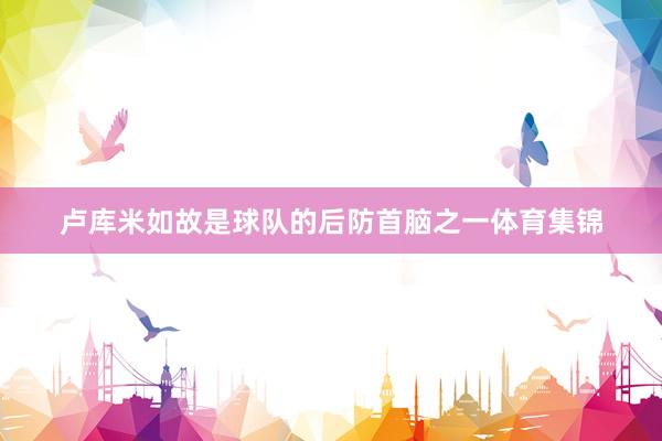 卢库米如故是球队的后防首脑之一体育集锦