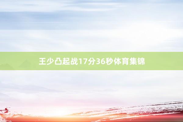 王少凸起战17分36秒体育集锦