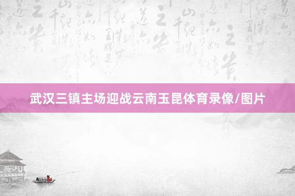 武汉三镇主场迎战云南玉昆体育录像/图片