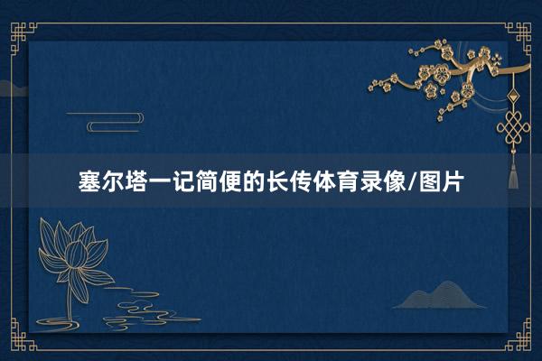 塞尔塔一记简便的长传体育录像/图片