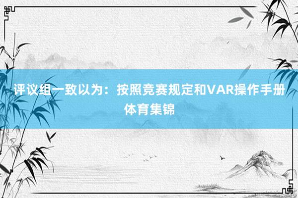 评议组一致以为：按照竞赛规定和VAR操作手册体育集锦