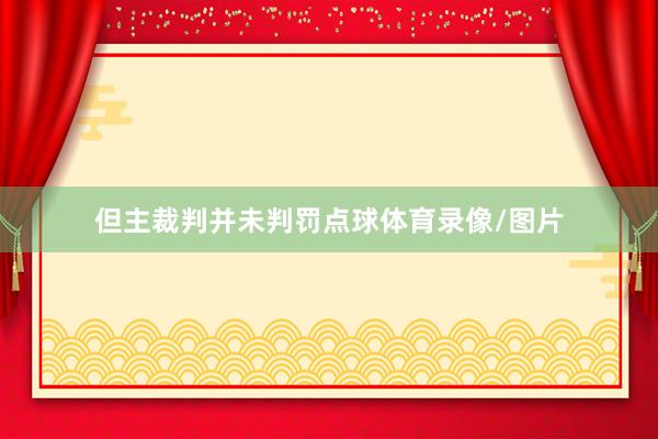 但主裁判并未判罚点球体育录像/图片