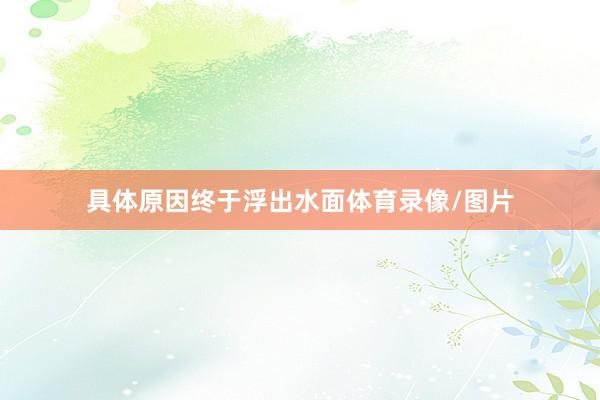 具体原因终于浮出水面体育录像/图片