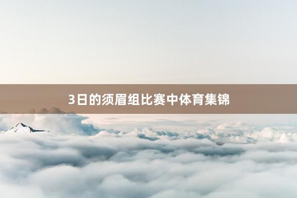 3日的须眉组比赛中体育集锦