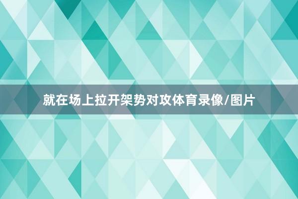 就在场上拉开架势对攻体育录像/图片