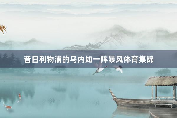 昔日利物浦的马内如一阵暴风体育集锦