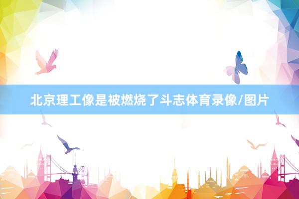 北京理工像是被燃烧了斗志体育录像/图片