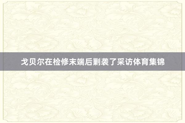 戈贝尔在检修末端后剿袭了采访体育集锦