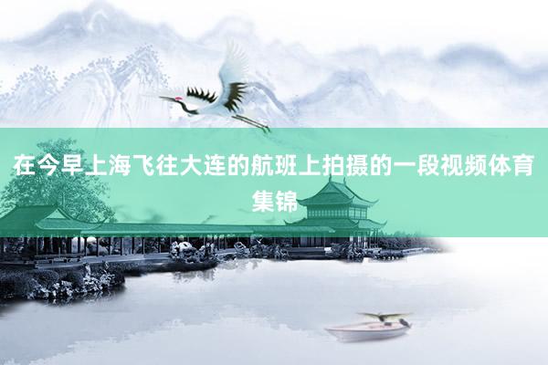 在今早上海飞往大连的航班上拍摄的一段视频体育集锦