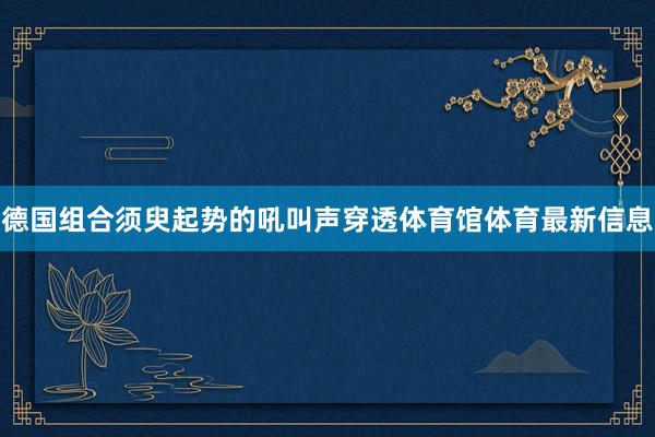 德国组合须臾起势的吼叫声穿透体育馆体育最新信息