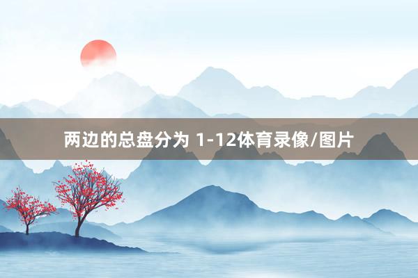 两边的总盘分为 1-12体育录像/图片