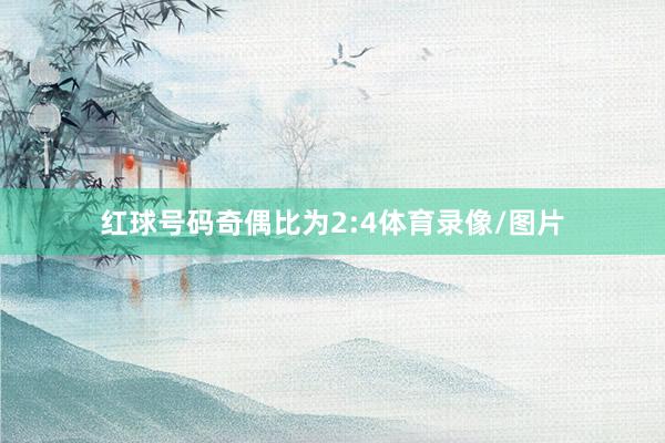 红球号码奇偶比为2:4体育录像/图片