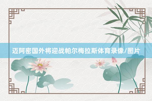 迈阿密国外将迎战帕尔梅拉斯体育录像/图片