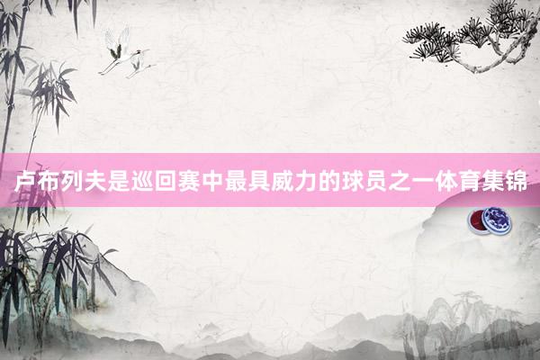 卢布列夫是巡回赛中最具威力的球员之一体育集锦