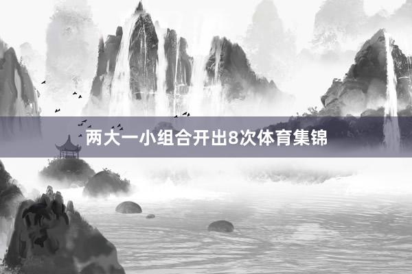 两大一小组合开出8次体育集锦