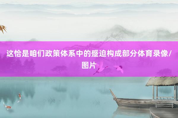这恰是咱们政策体系中的蹙迫构成部分体育录像/图片