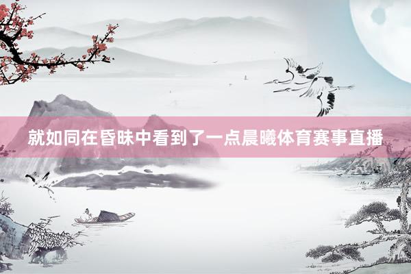 就如同在昏昧中看到了一点晨曦体育赛事直播