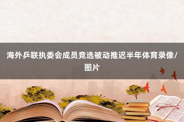 海外乒联执委会成员竞选被动推迟半年体育录像/图片