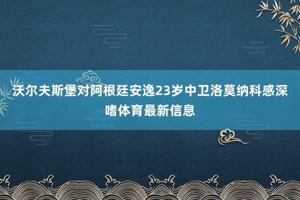沃尔夫斯堡对阿根廷安逸23岁中卫洛莫纳科感深嗜体育最新信息
