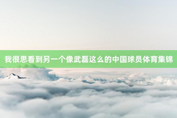 我很思看到另一个像武磊这么的中国球员体育集锦