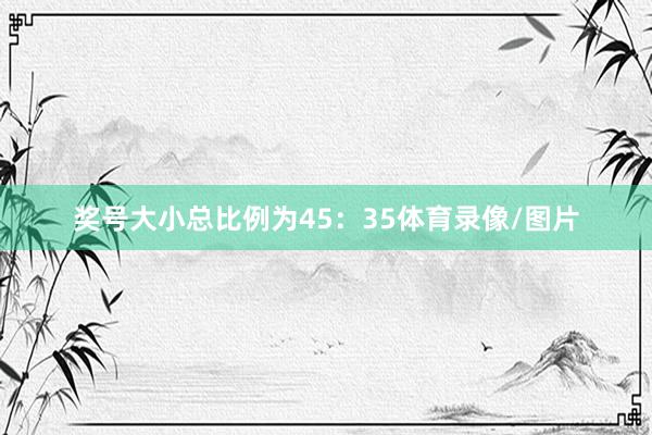奖号大小总比例为45：35体育录像/图片