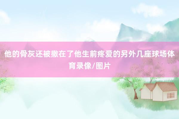 他的骨灰还被撒在了他生前疼爱的另外几座球场体育录像/图片