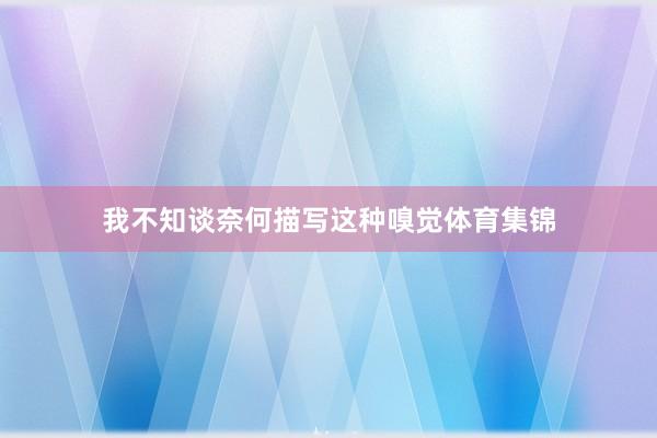 我不知谈奈何描写这种嗅觉体育集锦