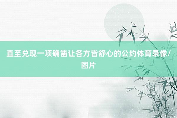 直至兑现一项确凿让各方皆舒心的公约体育录像/图片