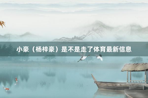 小豪（杨梓豪）是不是走了体育最新信息