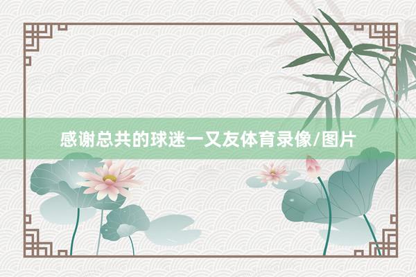 感谢总共的球迷一又友体育录像/图片