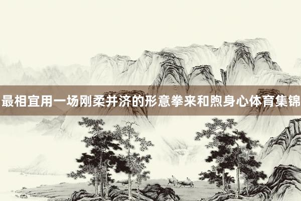 最相宜用一场刚柔并济的形意拳来和煦身心体育集锦