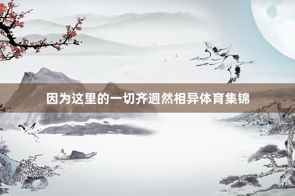 因为这里的一切齐迥然相异体育集锦