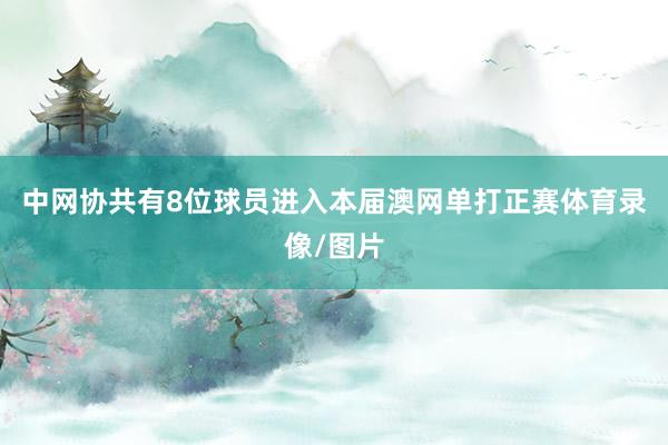 中网协共有8位球员进入本届澳网单打正赛体育录像/图片