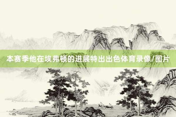 本赛季他在埃弗顿的进展特出出色体育录像/图片