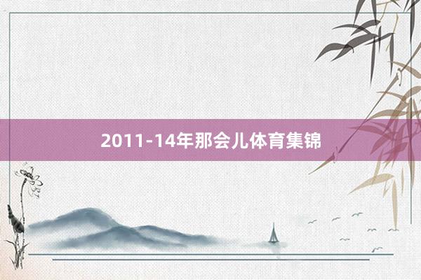 2011-14年那会儿体育集锦
