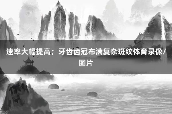 速率大幅提高；牙齿齿冠布满复杂斑纹体育录像/图片